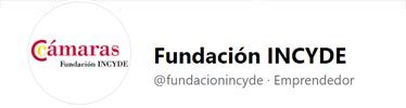 Fundación Incyde logo